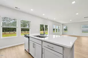 85 Thistle Patch Pl, Angier, NC 27501 - Photo 19