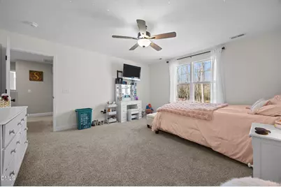 209 Mitchell Manor Drive, Angier, NC 27501 - Photo 25