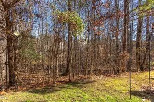 1434 Chatuga Wy, Wake Forest, NC 27587 - Photo 29