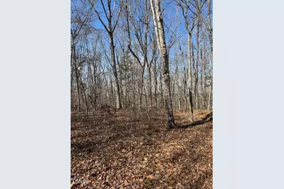 510 Whatt Way, Moncure, NC 27559 - Photo 3