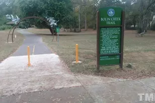 220 Elizabeth St, Chapel Hill, NC 27514 - Photo 49