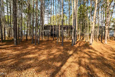 57 Andorra Place, Angier, NC 27501 - Photo 31