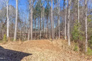 130 N Ridge View Way, Franklinton, NC 27525 - Photo 61