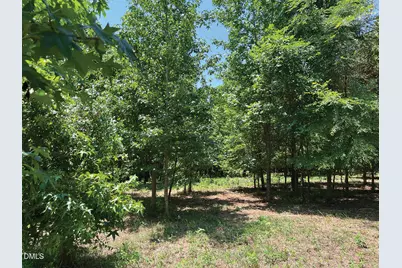 2338 Bowers Store Road, Siler City, NC 27344 - Photo 1