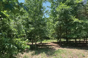 2338 Bowers Store Rd, Siler City, NC 27344 - Photo 1