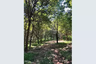 2338 Bowers Store Road, Siler City, NC 27344 - Photo 17