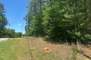 2917 New Hill Holleman Rd, New Hill, NC 27562 - Photo 29