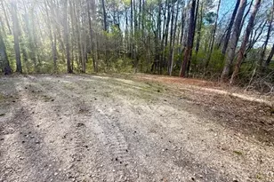 201 Hillandale Dr, Oxford, NC 27565 - Photo 61