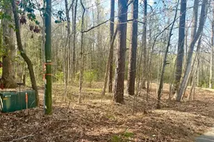 201 Hillandale Dr, Oxford, NC 27565 - Photo 57