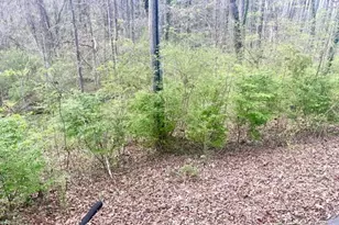 201 Hillandale Dr, Oxford, NC 27565 - Photo 51