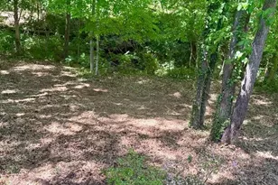 201 Hillandale Dr, Oxford, NC 27565 - Photo 45