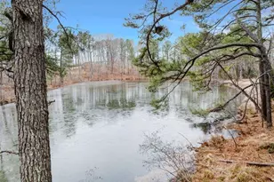 113 Country Brook Ln, Youngsville, NC 27596 - Photo 29