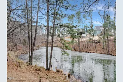 113 Country Brook Lane, Youngsville, NC 27596 - Photo 29