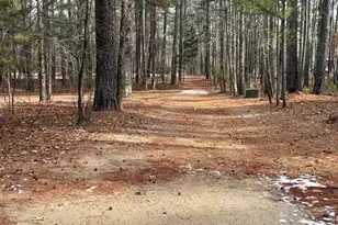 1909 Raven Rock Rd, Lillington, NC 27546 - Photo 23