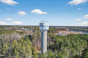 218 Bendemeer Ln, Rolesville, NC 27571 - Photo 69