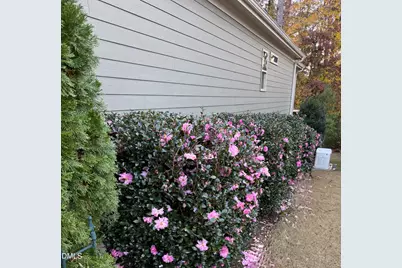 2808 Brighton Forest Drive, Apex, NC 27539 - Photo 49