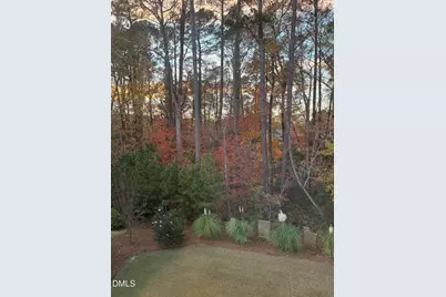 2808 Brighton Forest Drive, Apex, NC 27539 - Photo 47