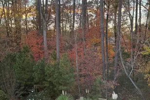 2808 Brighton Forest Dr, Apex, NC 27539 - Photo 47