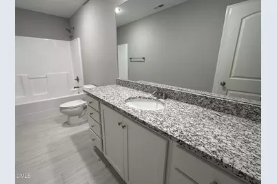 32 Hot Springs Way, Benson, NC 27504 - Photo 25