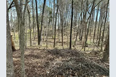 5034 Mimosa Drive, Durham, NC 27713 - Photo 5