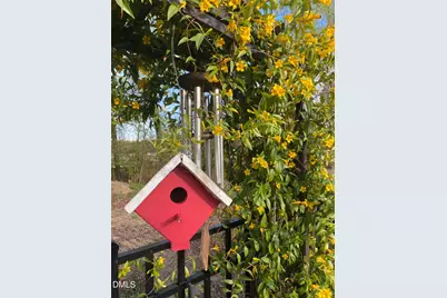 3232 Lacewing Drive, Zebulon, NC 27597 - Photo 21