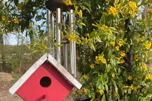 3232 Lacewing Dr, Zebulon, NC 27597 - Photo 21