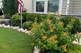 3232 Lacewing Dr, Zebulon, NC 27597 - Photo 23