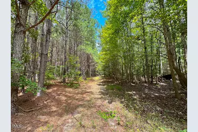 0 US 401 Highway S, Youngsville, NC 27596 - Photo 17