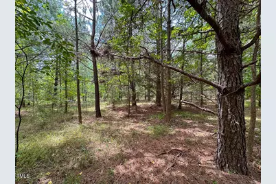 0 US 401 Highway S, Youngsville, NC 27596 - Photo 11