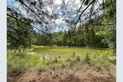 0 US 401 Highway S, Youngsville, NC 27596 - Photo 7