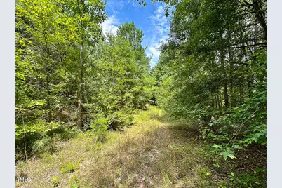 0 US 401 Highway S, Youngsville, NC 27596 - Photo 15