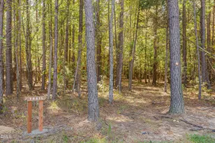 4637 Array Dr, Chapel Hill, NC 27516 - Photo 53