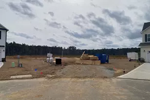 218 Talton Ests Dr, Pikeville, NC 27863 - Photo 3