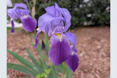 41 Maple Circle, Pittsboro, NC 27312 - Photo 59