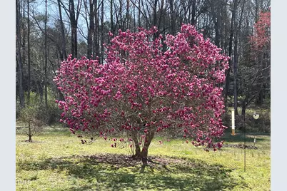 41 Maple Circle, Pittsboro, NC 27312 - Photo 5