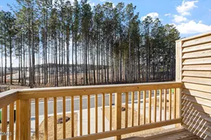 453 Carolina Spgs Blvd, Apex, NC 27539 - Photo 7