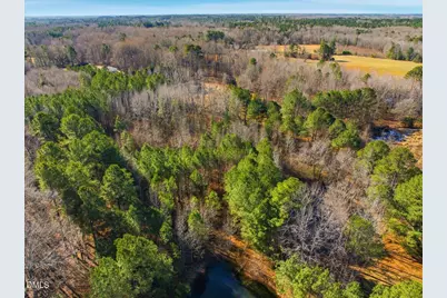 1190 Little Mountain Road, Stem, NC 27581 - Photo 39