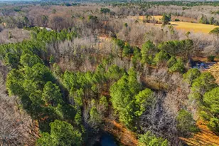 1190 Little Mountain Rd, Stem, NC 27581 - Photo 39