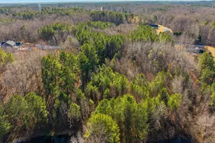 1190 Little Mountain Rd, Stem, NC 27581 - Photo 41