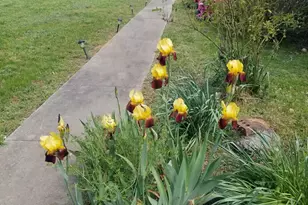 257 Lambe Rd, Snow Camp, NC 27349 - Photo 47