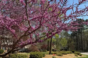 7117 N Ridge Dr, Raleigh, NC 27615 - Photo 65