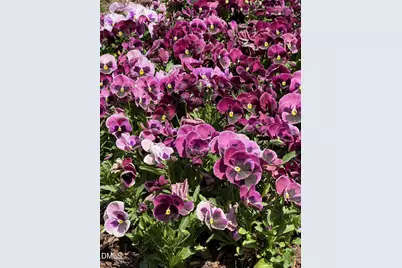 7117 North Ridge Drive, Raleigh, NC 27615 - Photo 55