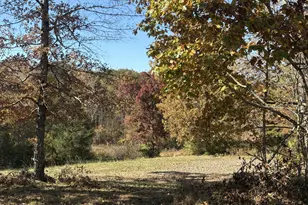 5565 McGhees Mill Rd, Semora, NC 27343 - Photo 35