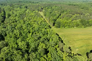 5500 Nc Hwy 86, Chapel Hill, NC 27514 - Photo 99