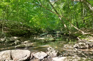 5500 Nc Hwy 86, Chapel Hill, NC 27514 - Photo 85