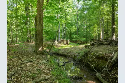 5500 Nc Highway 86, Chapel Hill, NC 27514 - Photo 89