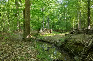 5500 Nc Hwy 86, Chapel Hill, NC 27514 - Photo 89