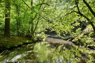 5500 Nc Hwy 86, Chapel Hill, NC 27514 - Photo 83