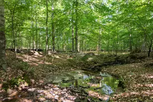 5500 Nc Hwy 86, Chapel Hill, NC 27514 - Photo 91