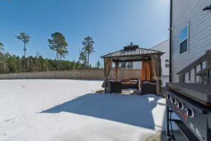 316 Nickleby Wy, Wendell, NC 27591 - Photo 41